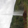img_3152