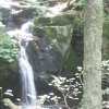 img_3131