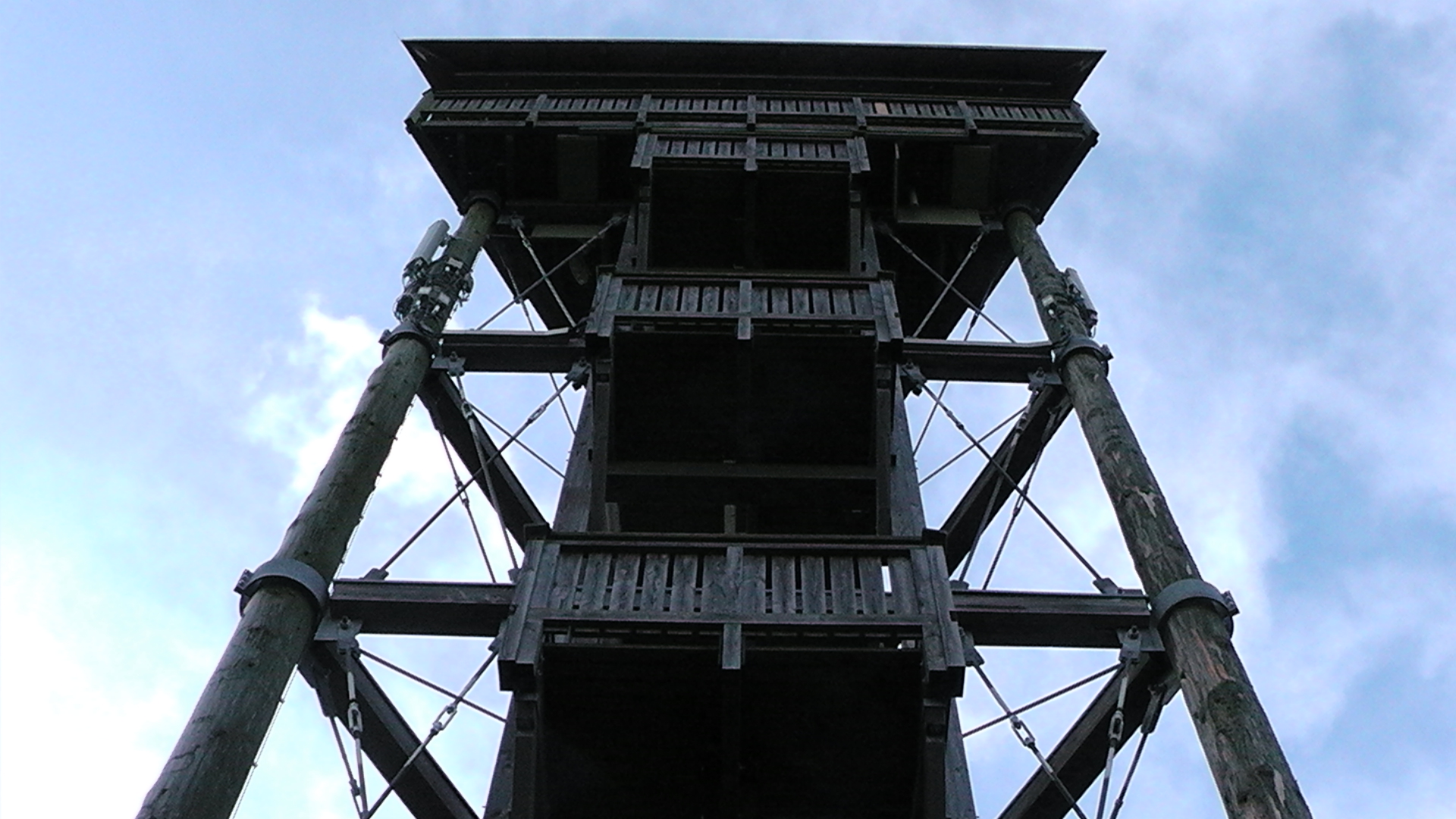 s1010040