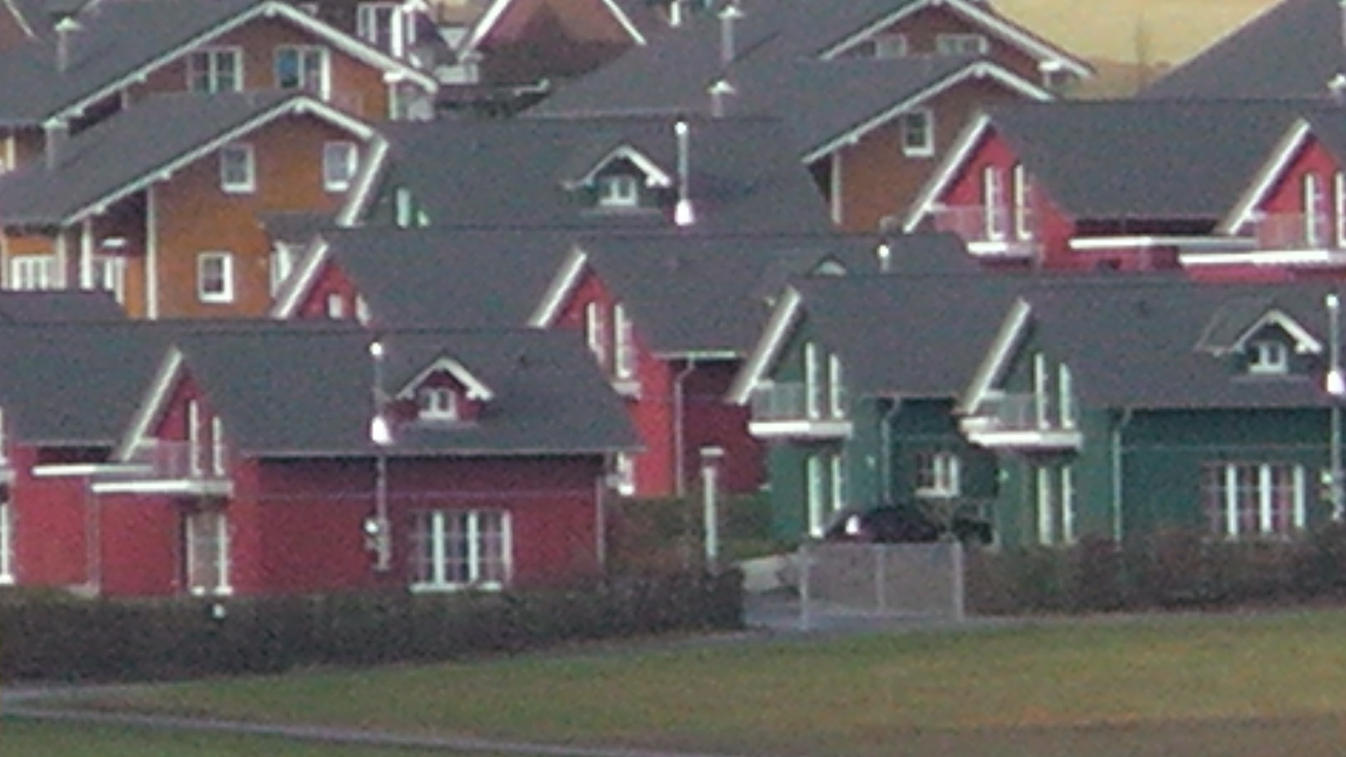 s1010059