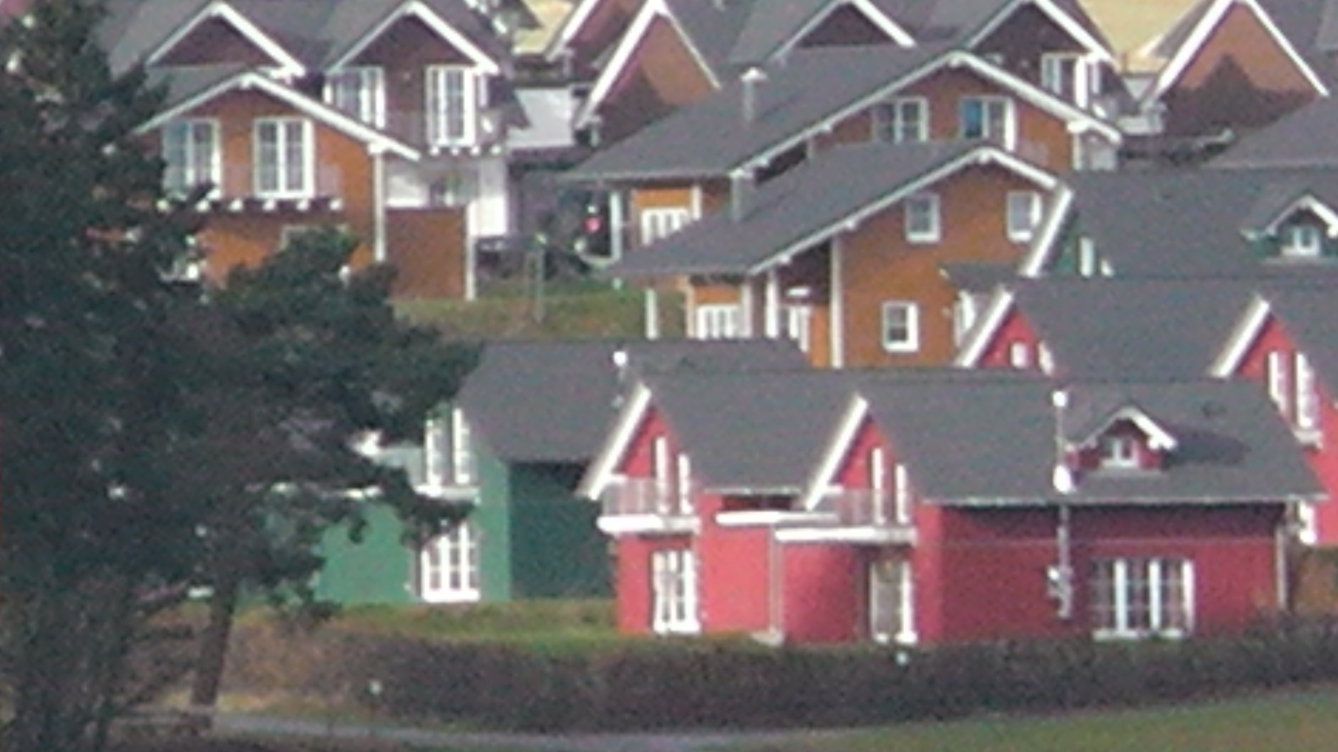 s1010060