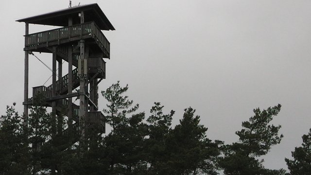 s1010018