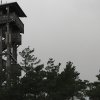 s1010018