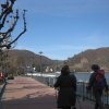 img_1205