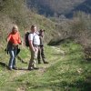 img_1270
