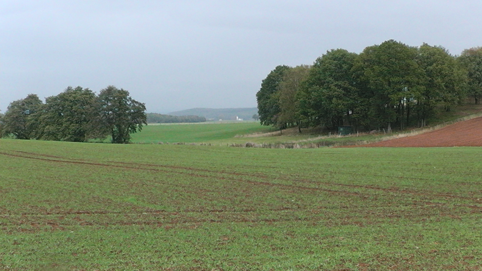 s1000014