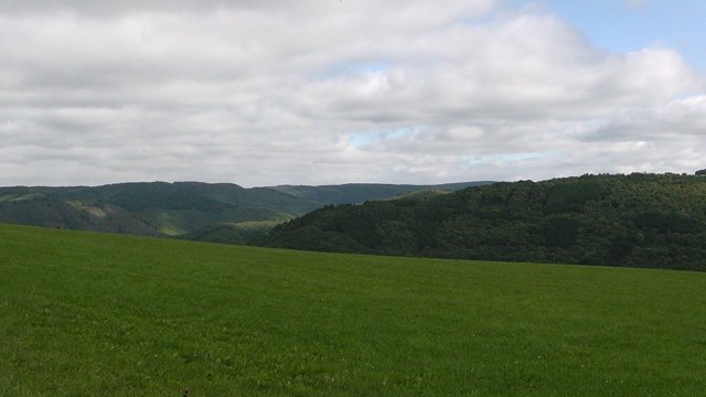 s1020012