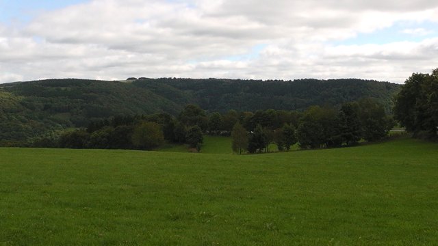 s1020013