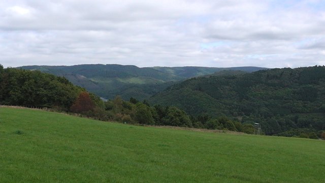 s1020021