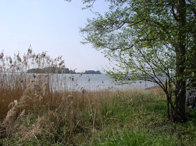 p1010149