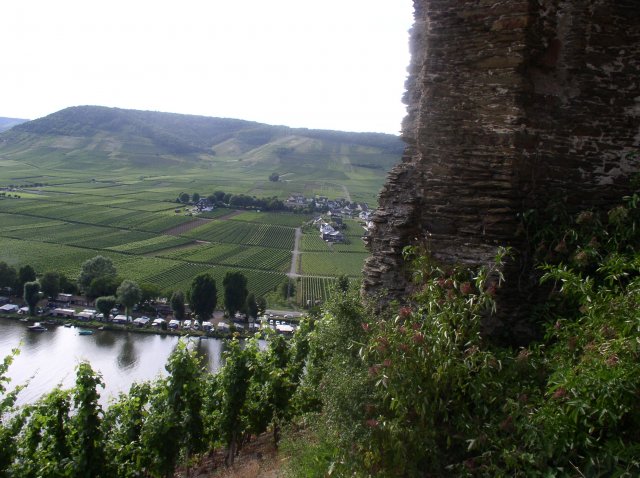 p1010311