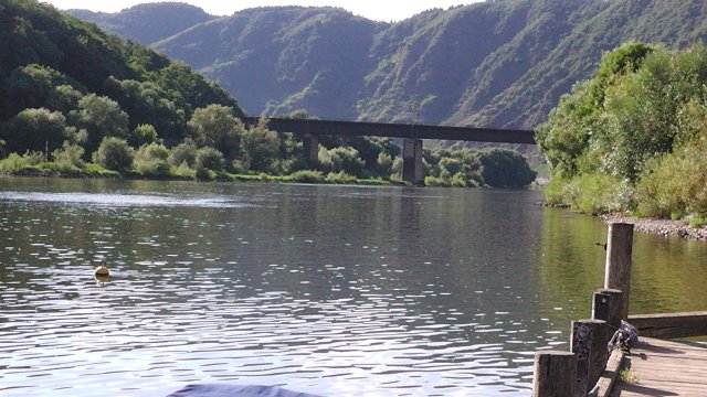 s1060084