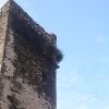 p1010309