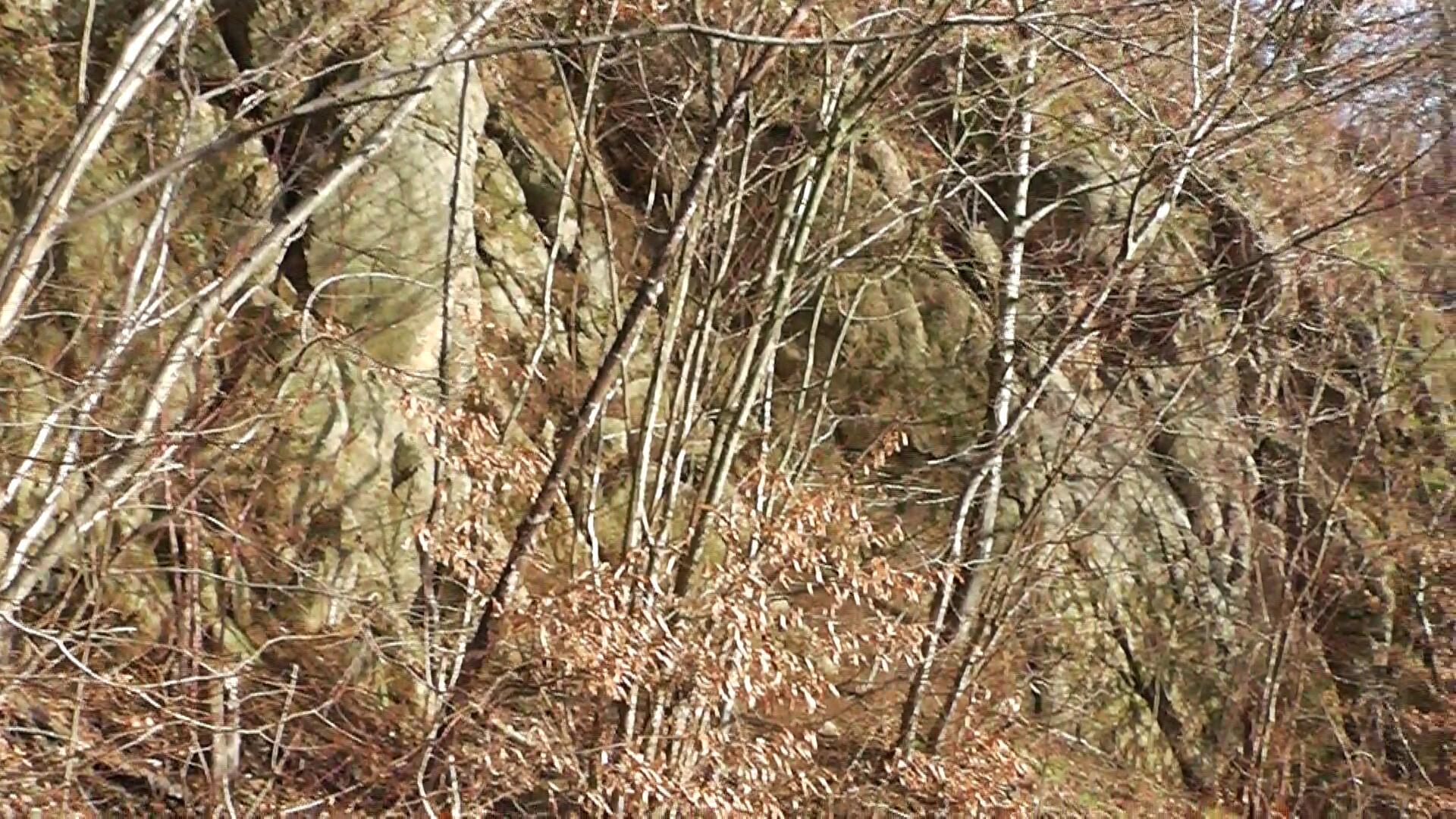 2012-01-15-1