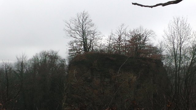 s1000017