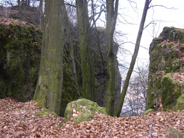 P1010081