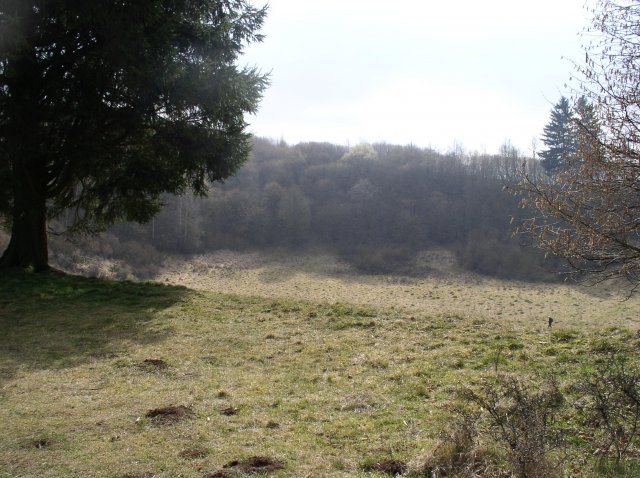 P1010094