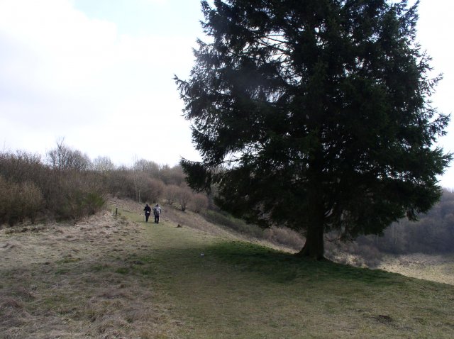 P1010095