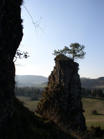 P1010113