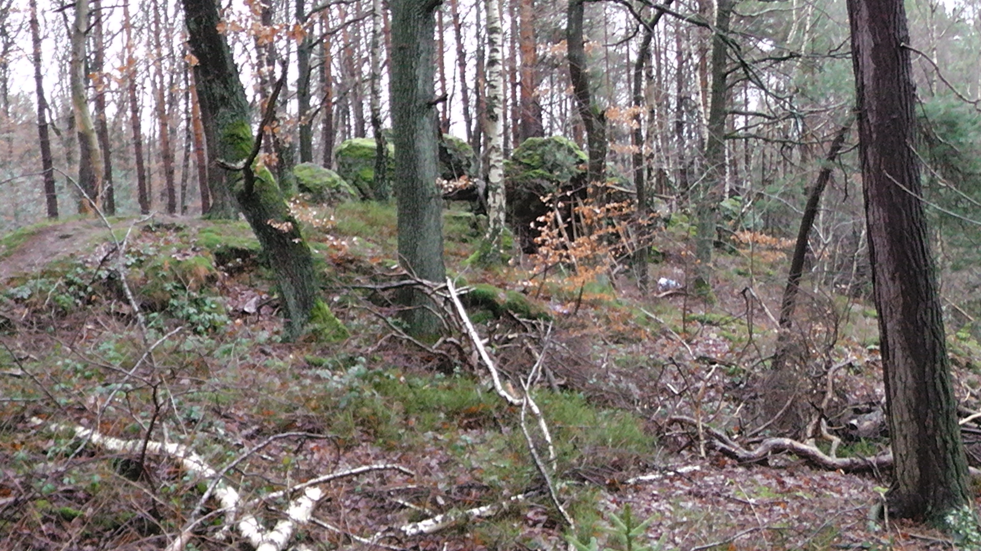 hilberath19-6