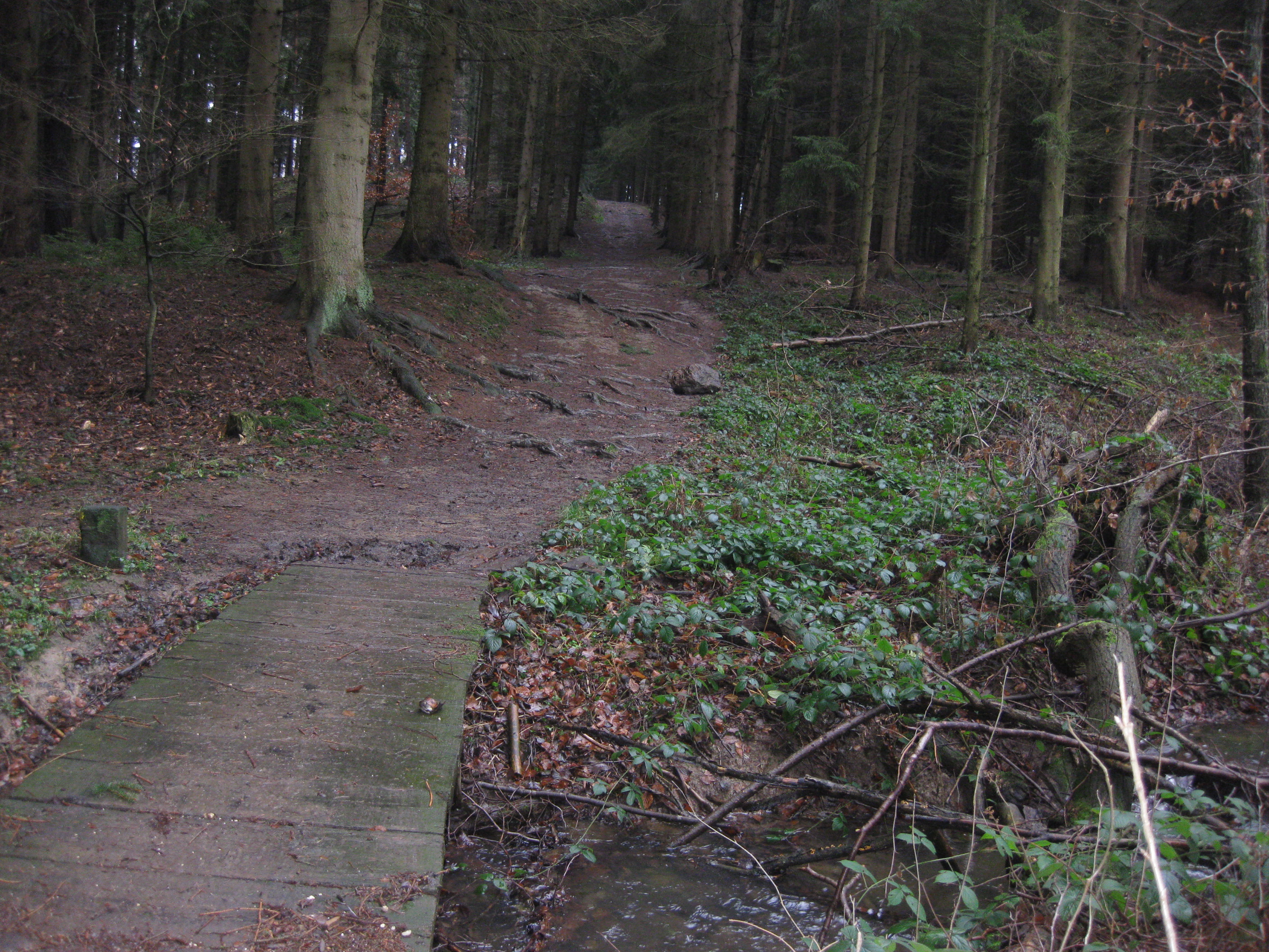 hilberath19