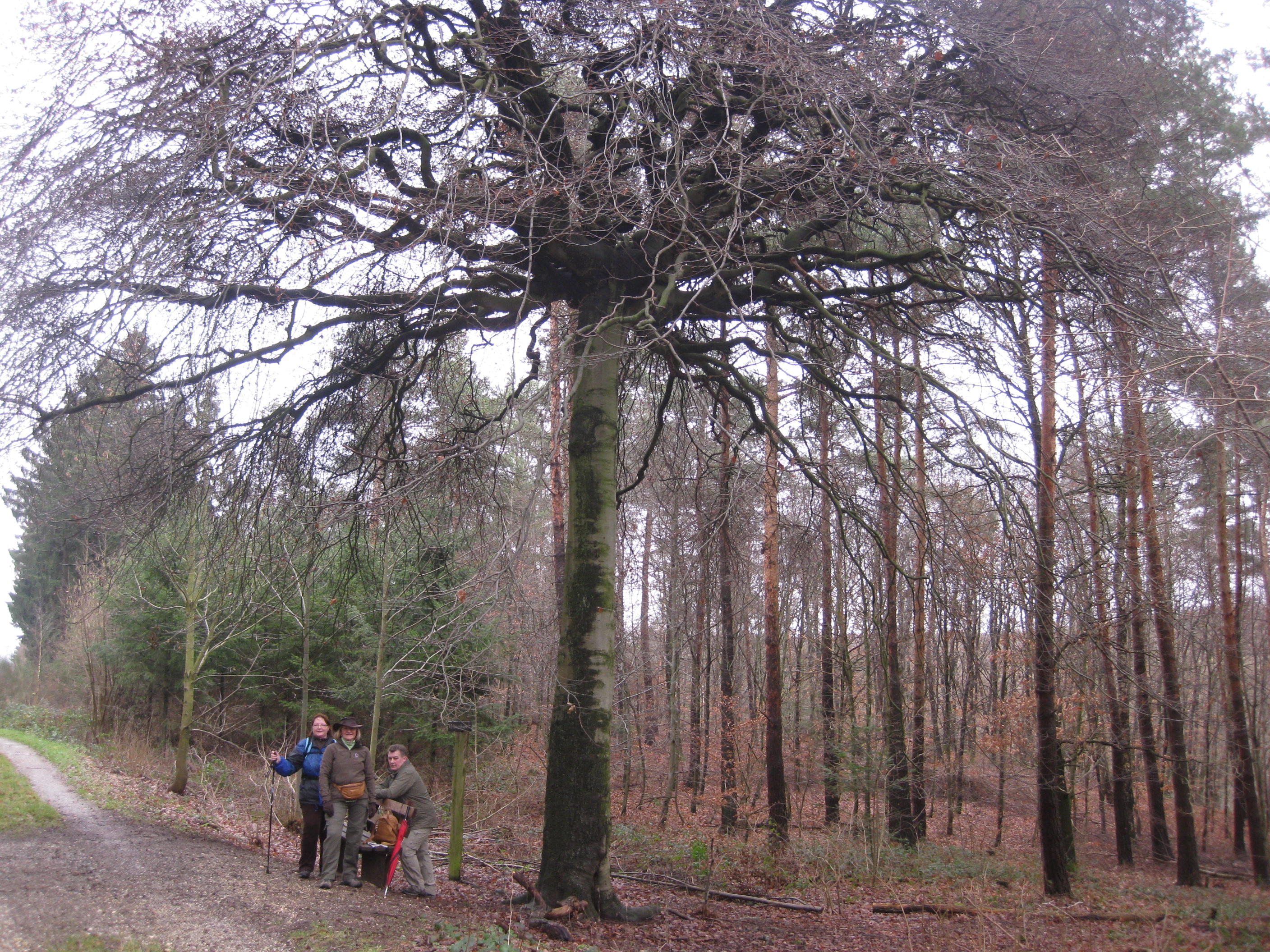 hilberath23