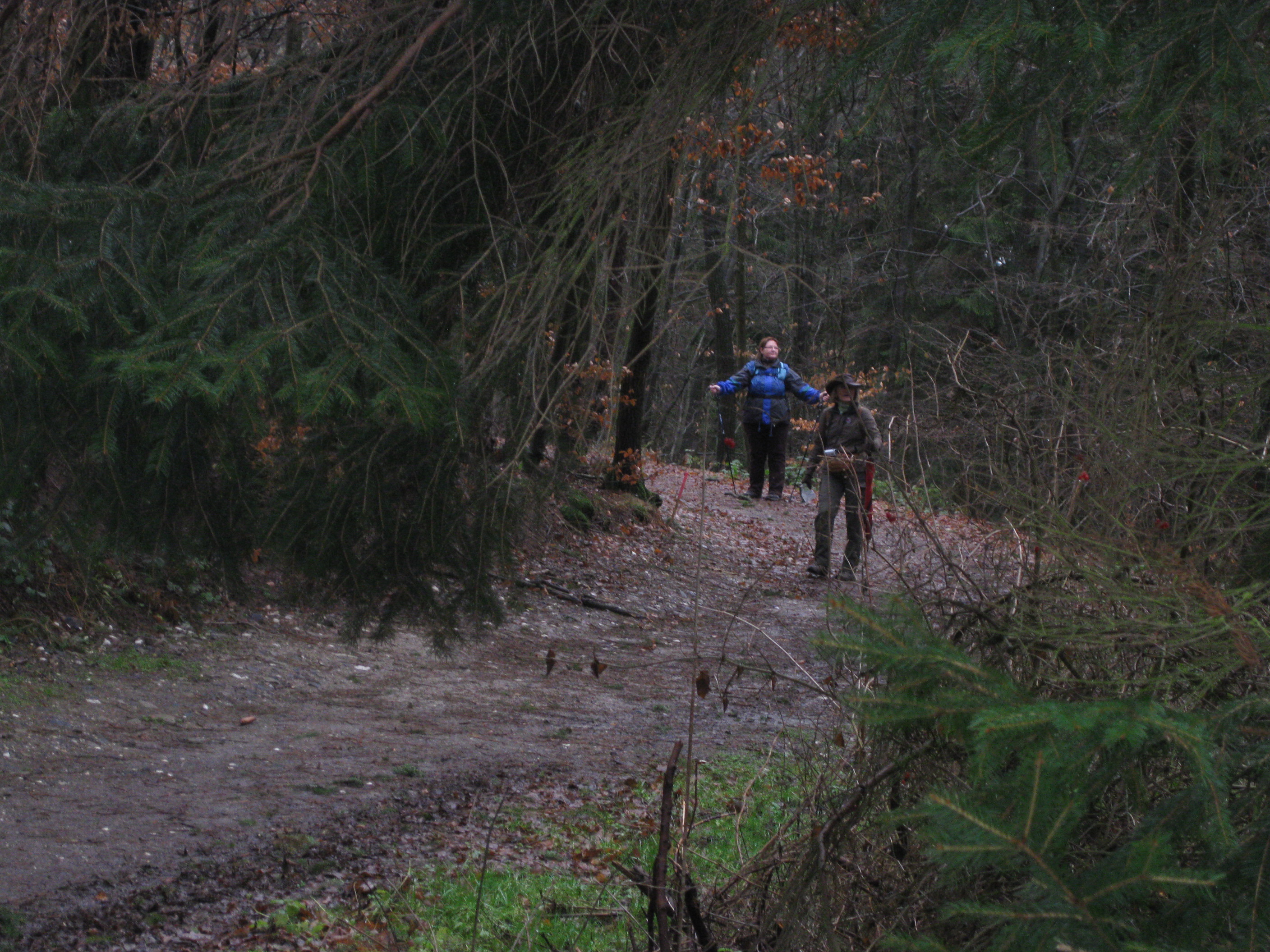 hilberath3