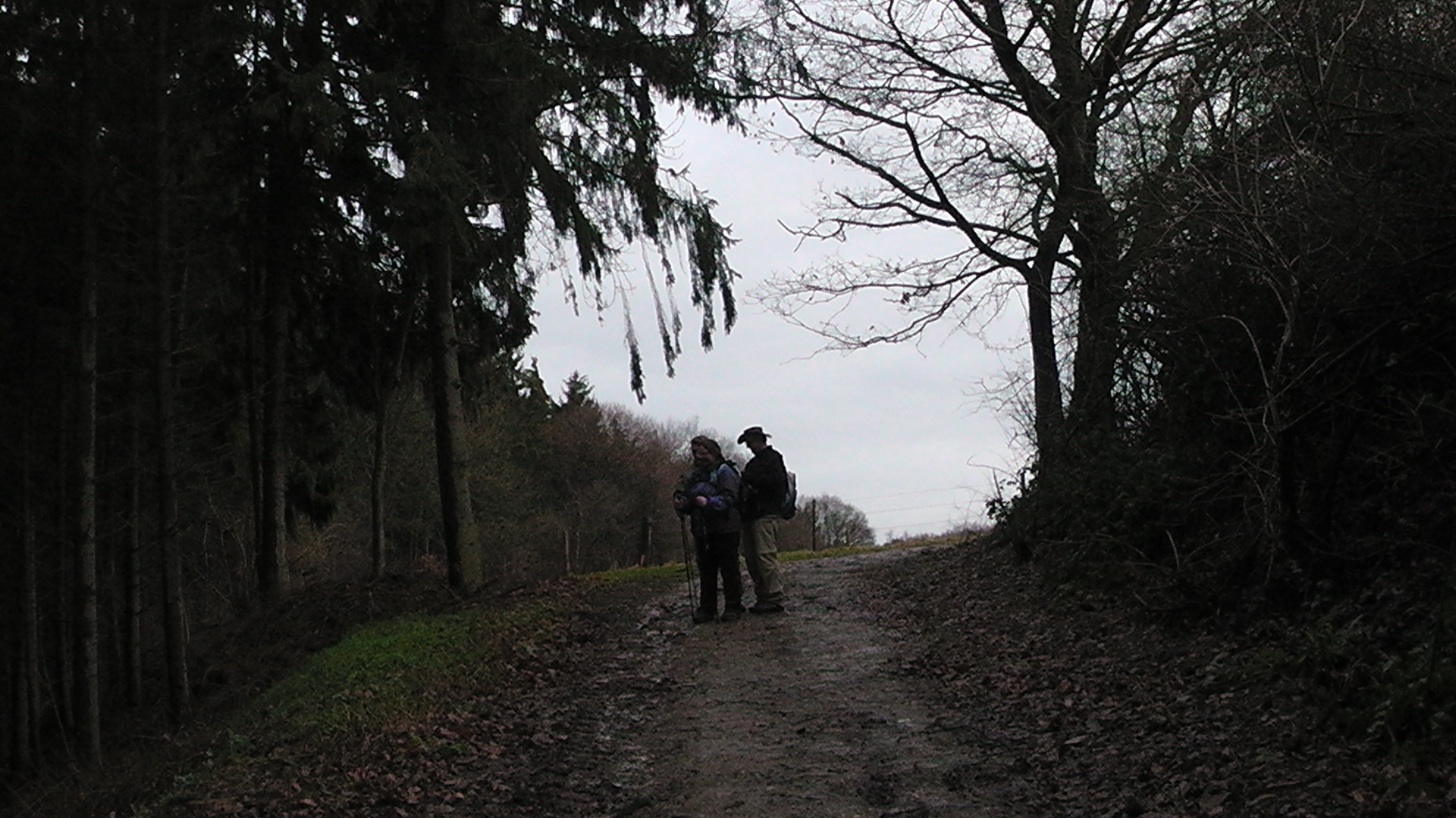 hilberath4