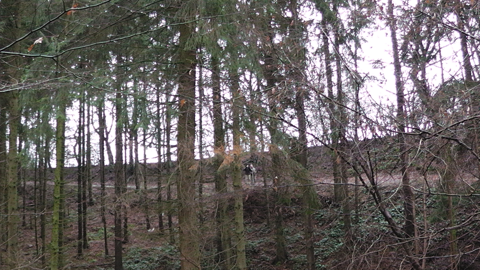 hilberath9