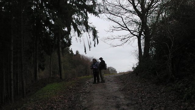 hilberath4
