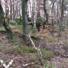 hilberath19-6