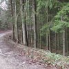hilberath2