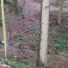 hilberath5