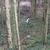 hilberath6