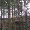 hilberath9