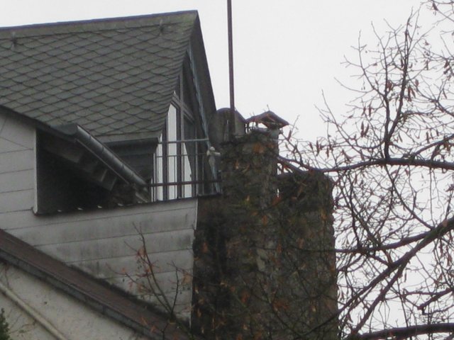 img_3269