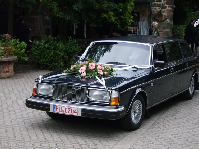 Bilder von Walter