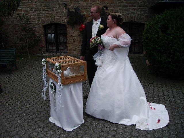Bilder von Walter