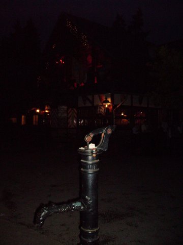 Bilder von Walter