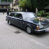 Bilder von Walter