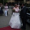 Bilder von Walter