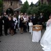 Bilder von Walter