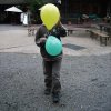 Bilder von Walter