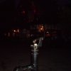 Bilder von Walter