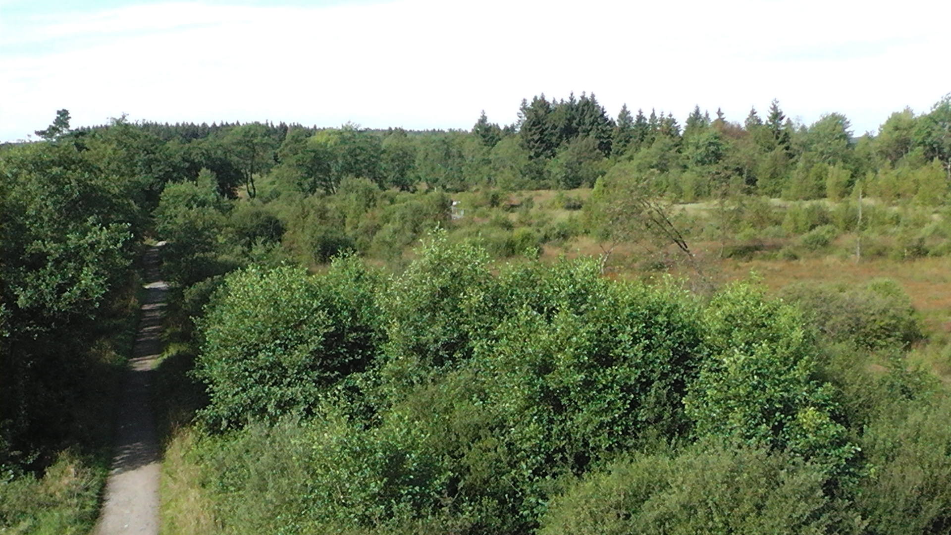 s1000006