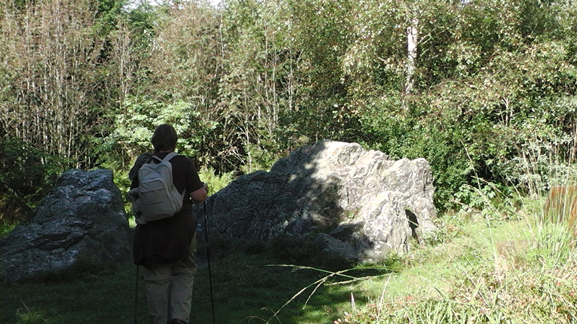 s1000019