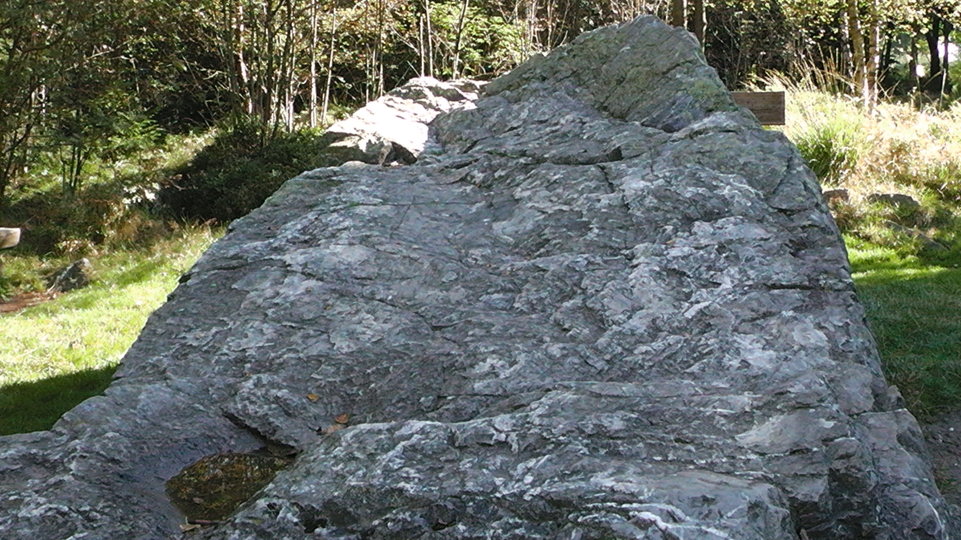 s1000022