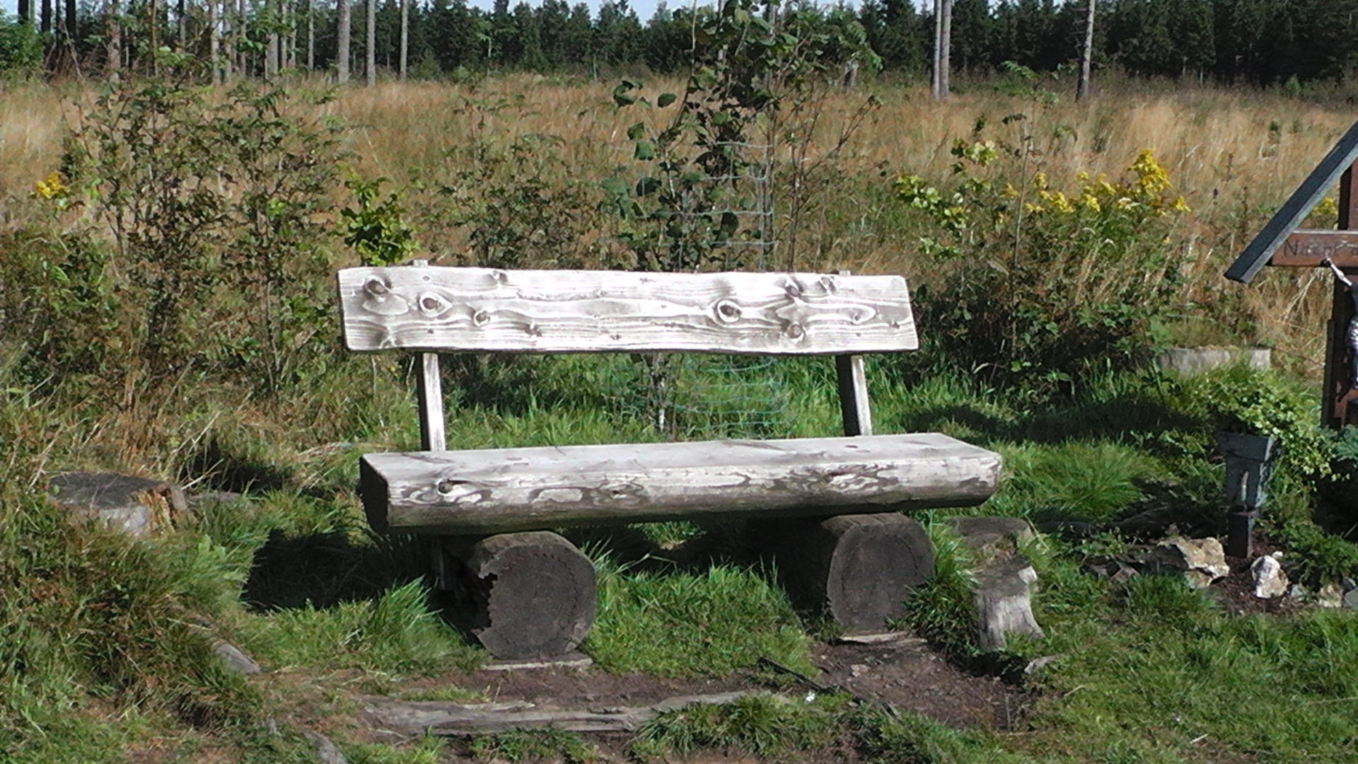 s1000023