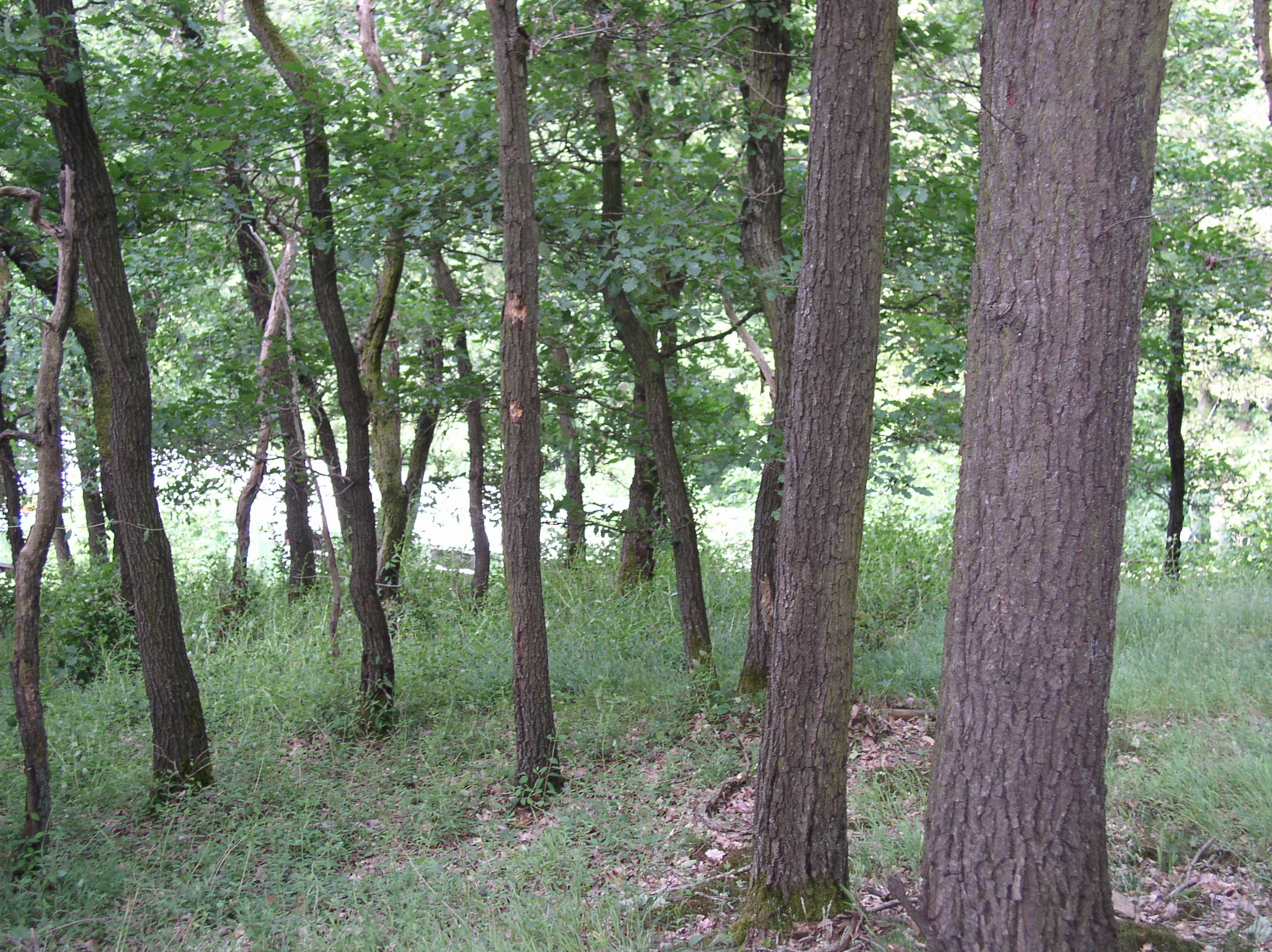 p1010231