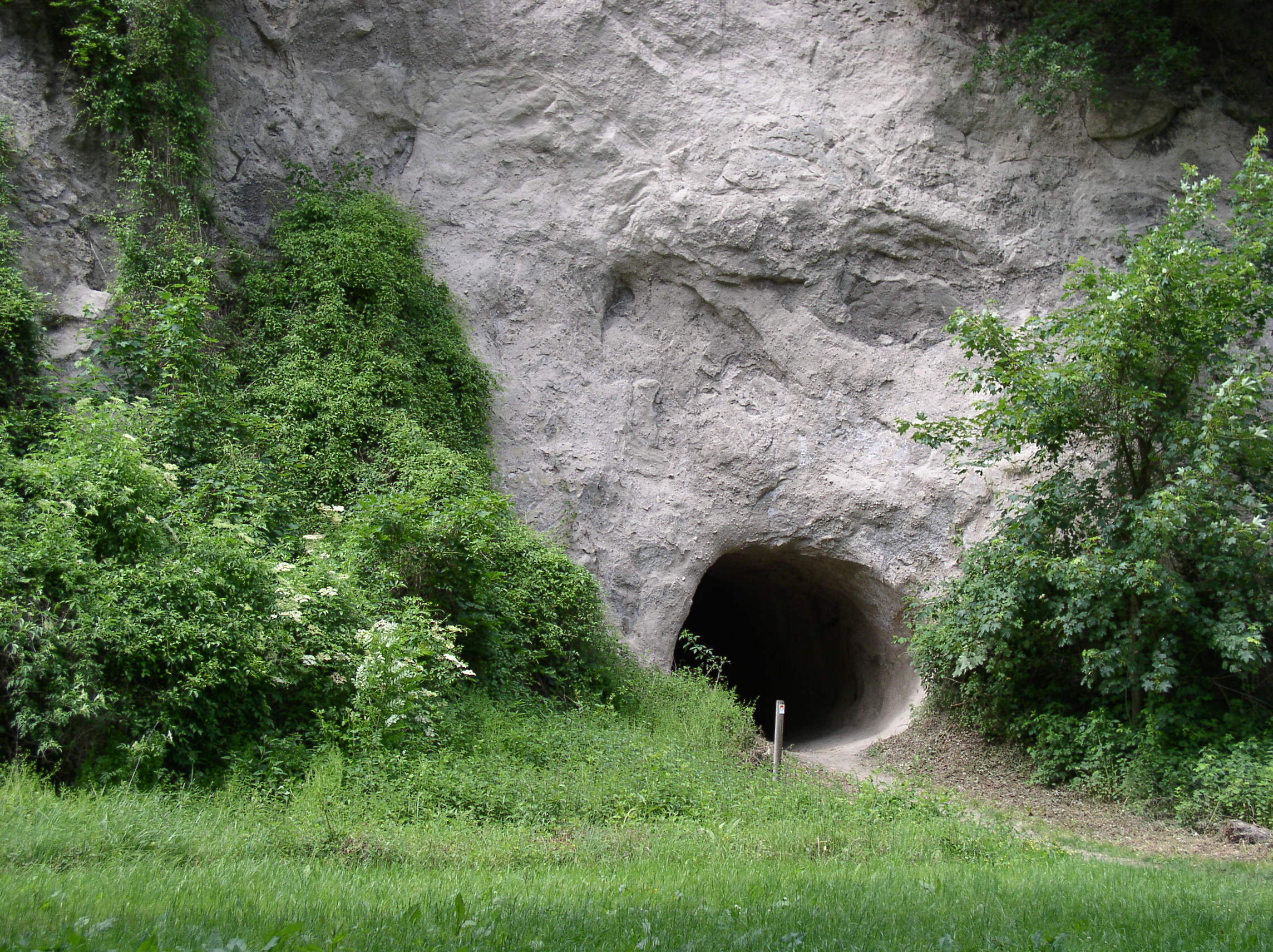 p1010234